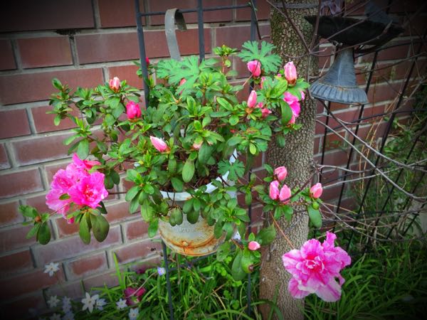 rblog-20160330183729-04.jpg