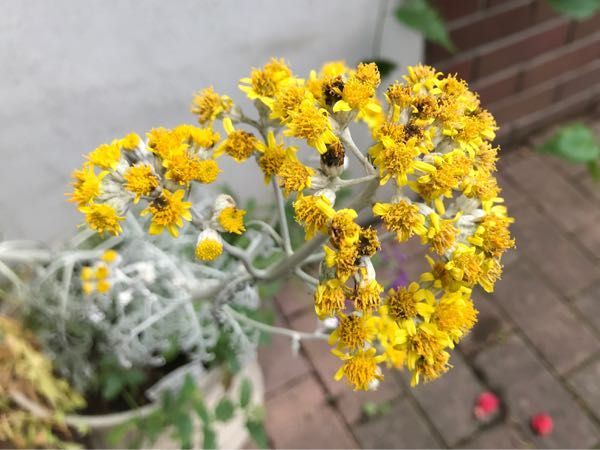 rblog-20180624175618-09.jpg
