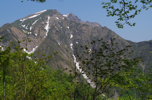 IMGP1138.JPG