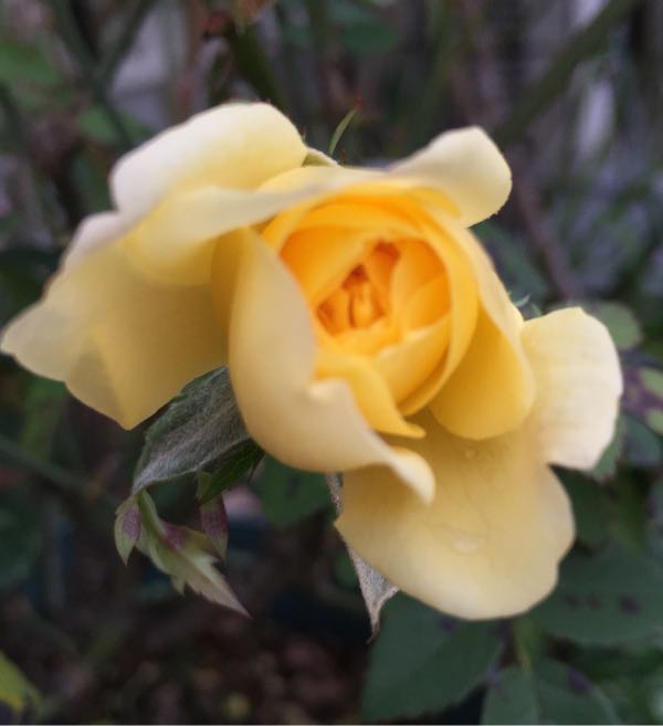 rblog-20151227164050-04.jpg