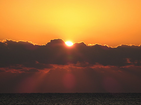 IMG_0834.jpg