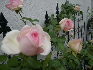 P1070084.JPG