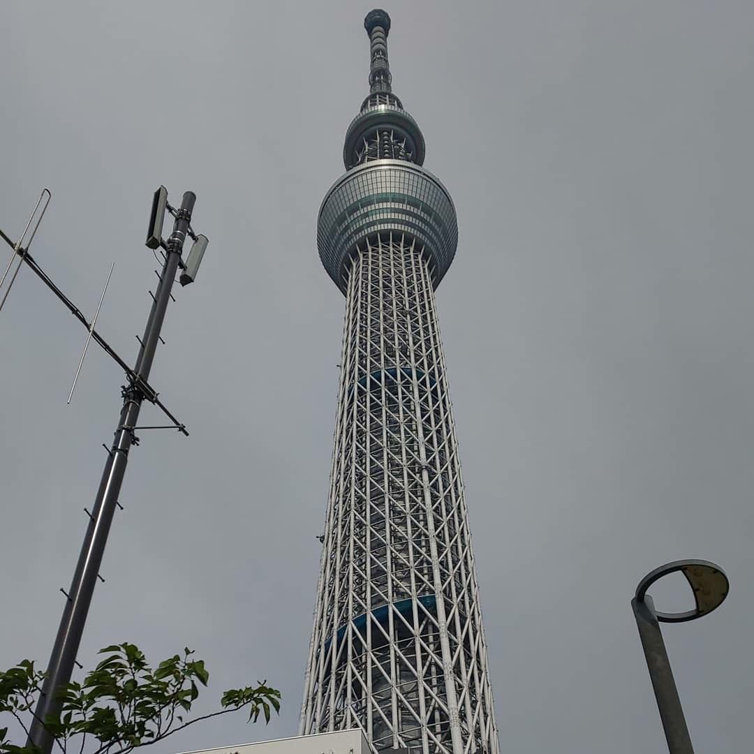 上野動物園とソラマチとマザドン ゆうktyのブログ 楽天ブログ