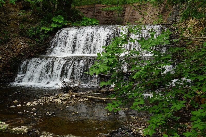 鹿鳴の滝6 7 Shimojimのブログ 楽天ブログ