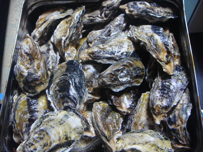 DSC00508_R.PNG