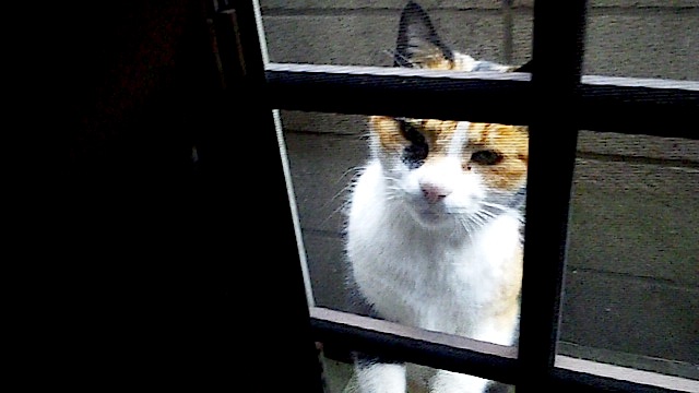 140126_125849.jpg