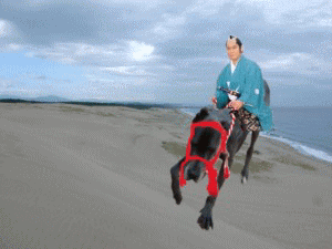 暴