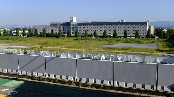 010.JPG