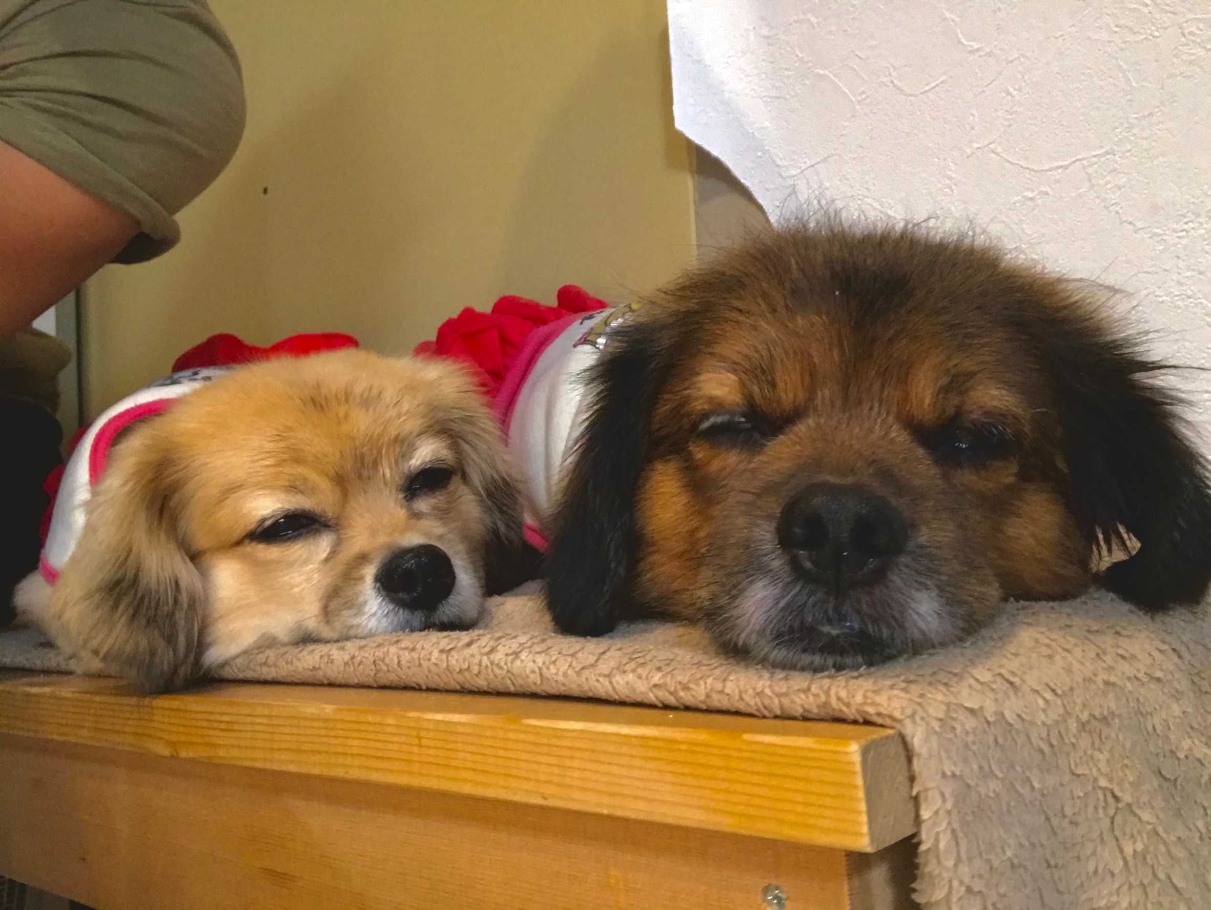 ひまいんのブログ