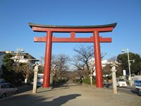 IMG_3928_R.JPG