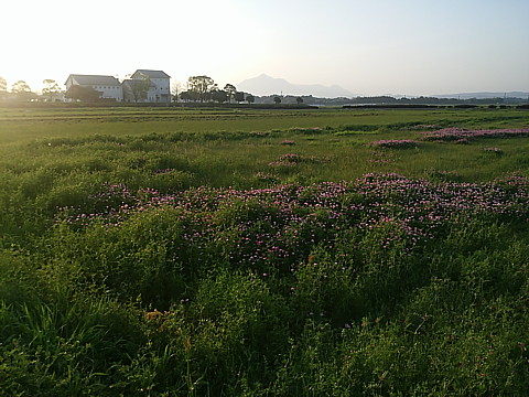 IMG_20160414_180928.jpg