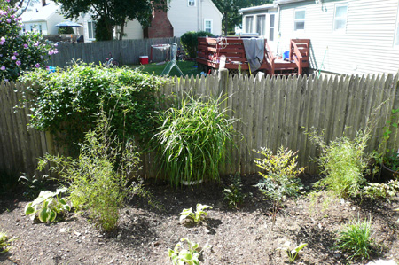 yard work06.jpg