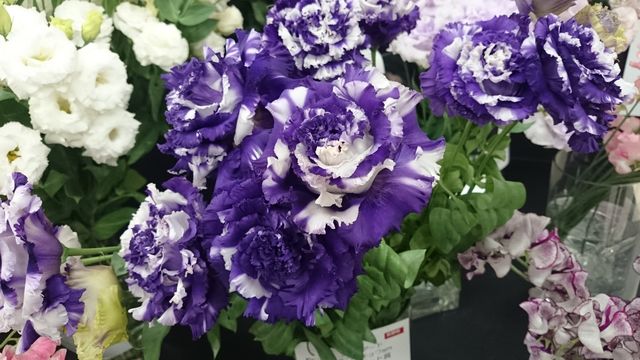 2016-02-14 11.21.16.jpg