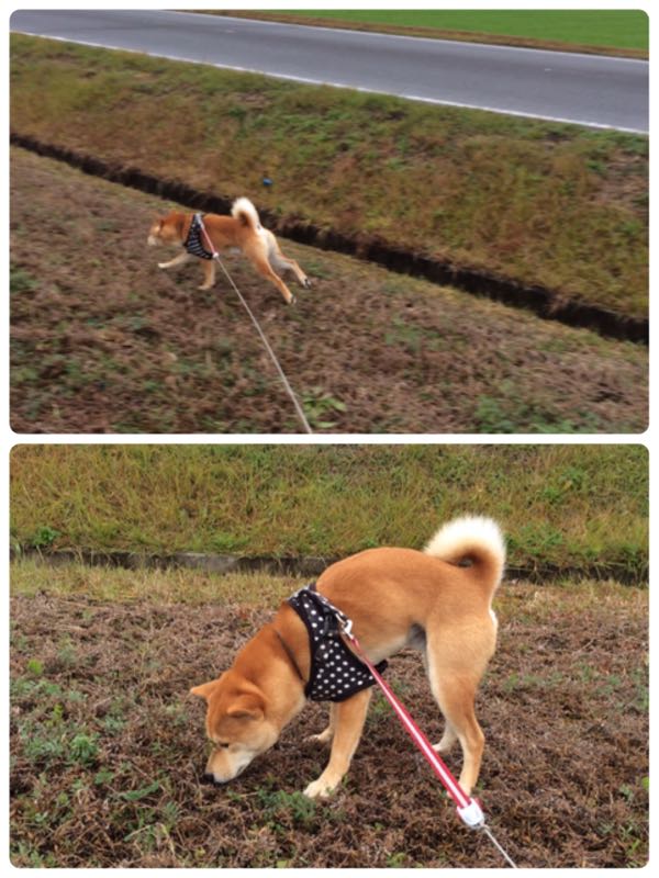 rblog-20151222005000-00.jpg
