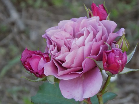 DSCN3659.JPG