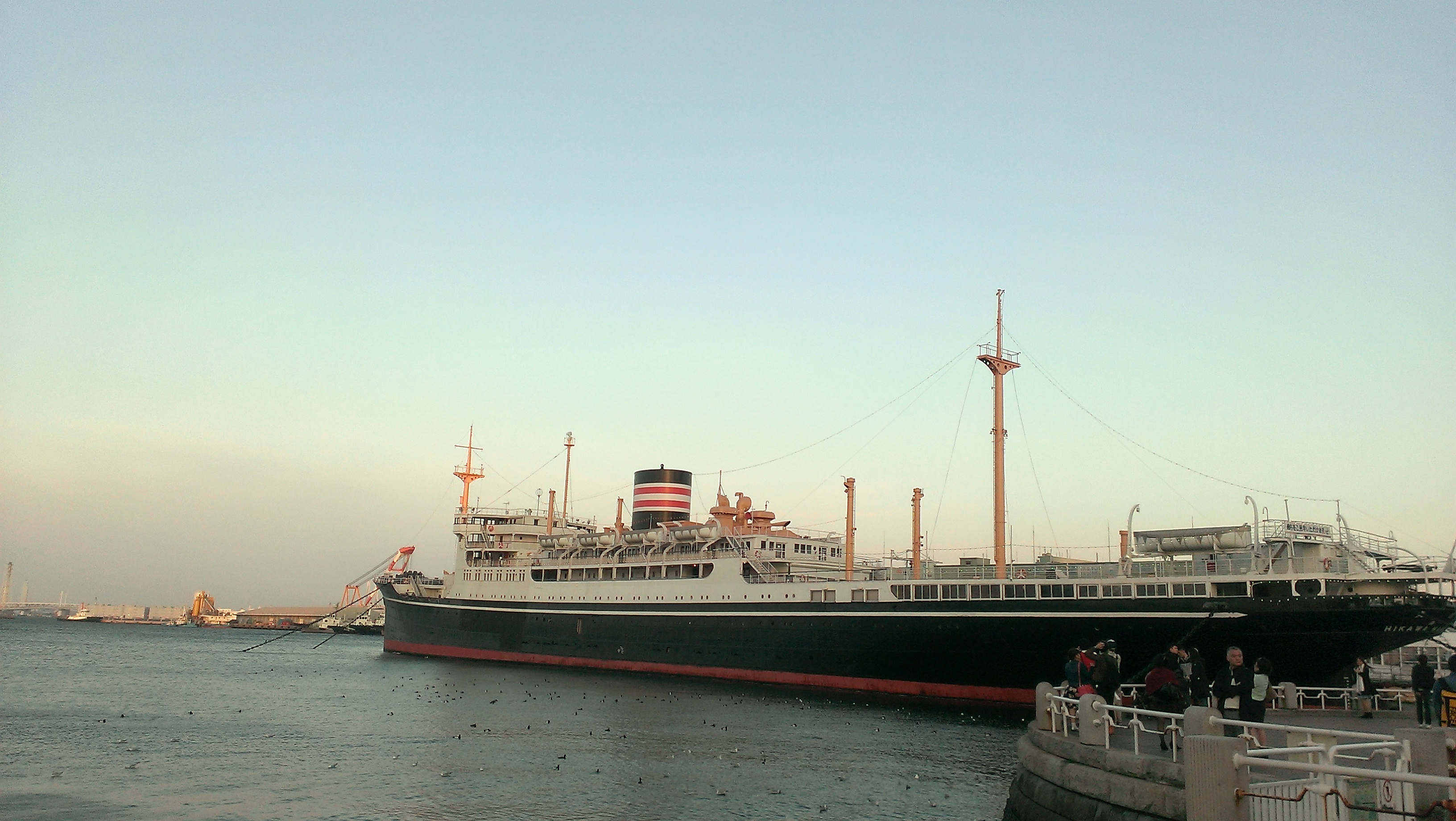IMAG4814.jpg