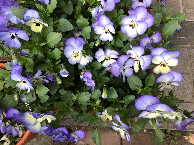 rblog-20190324174901-03.jpg