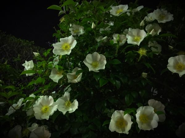 rblog-20160426010130-08.jpg