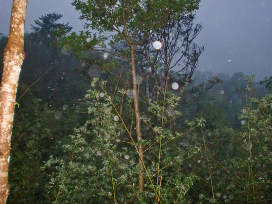 CIMG4987竹風庵　雨の夜　小屋からの眺望.jpg