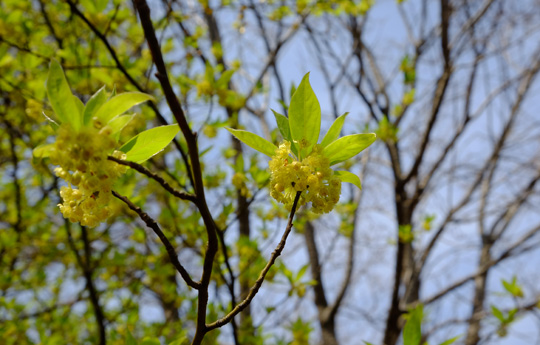 2016 03 31_2297.jpg