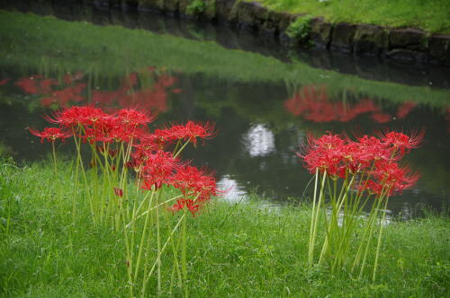 小石川後楽園