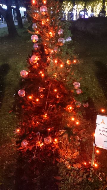 2015-12-20 18.30.40.jpg