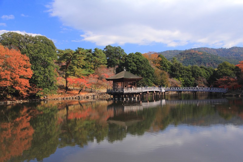 奈良公園・浮見堂_002.jpg