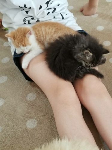 rblog-20180604081608-01.jpg