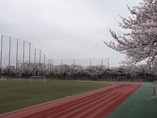 DSC00838_R.JPG