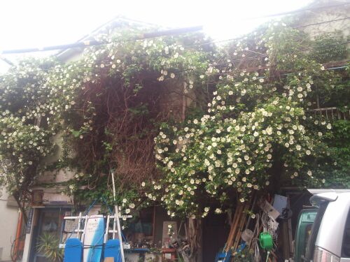 rblog-20140501073300-03.jpg