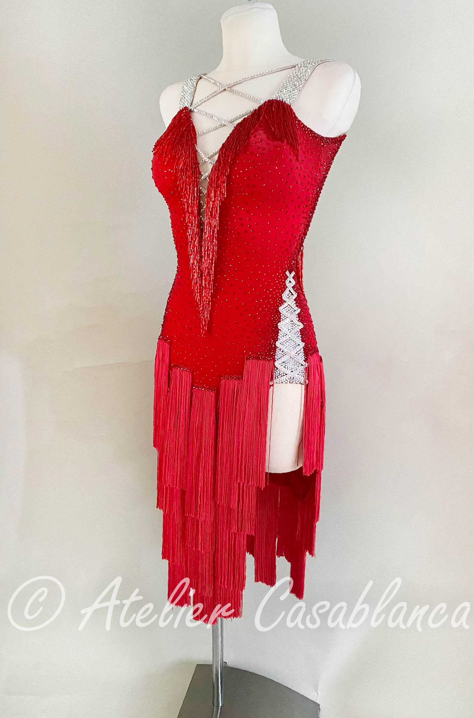 印象のデザイン 赤のフリンジロングラテンドレス - ダンス/バレエ 