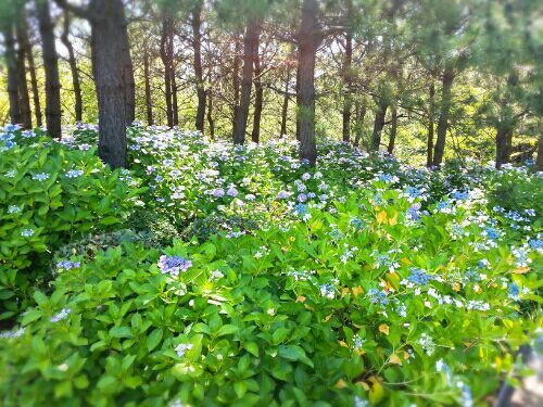 rblog-20180607175223-03.jpg