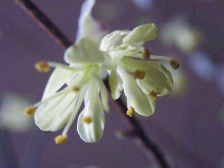 DSCF9106-p.jpg