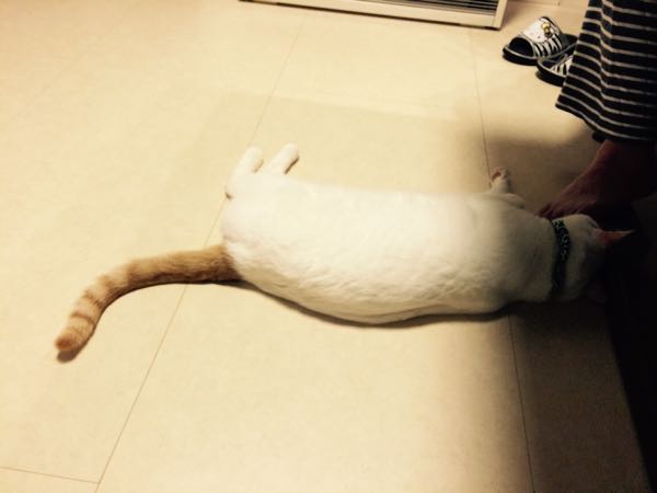 rblog-20150616070434-01.jpg