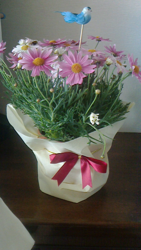 母の日に贈った花