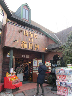 0110_8315.jpg