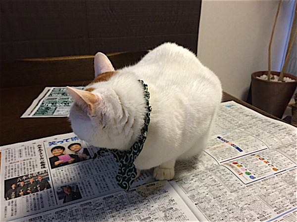 rblog-20141028062910-02.jpg