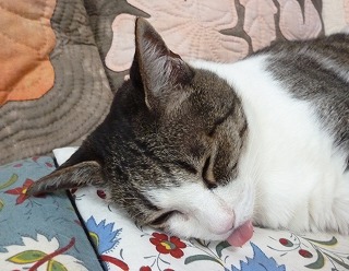 P1200661-ass.jpg