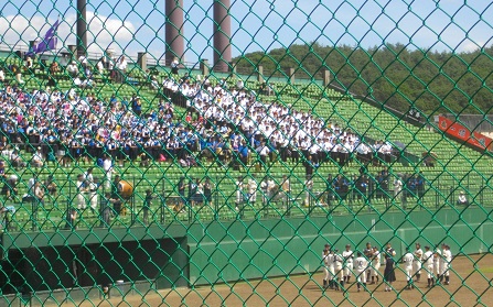 IMGP8948.JPG