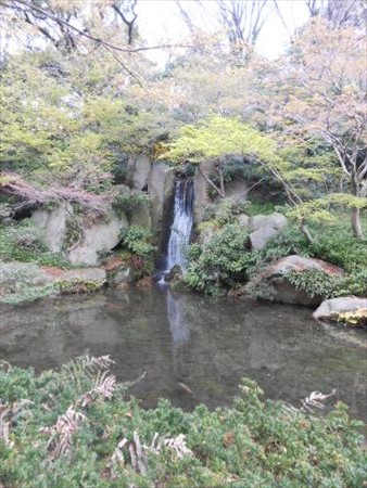 浜松城公園