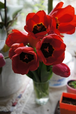 DSC01002.jpg