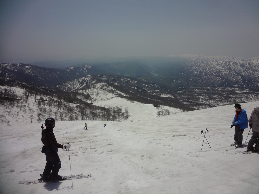 DSC00585 - 900x675