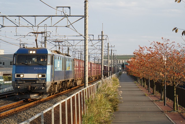 EF65 1102牽引 高崎チキ工臨 & EF65 1103牽引 新津ロングチキ工臨 空返却5