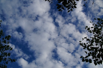 秋空140826