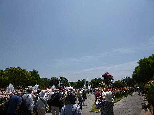 P1100700(1).JPG