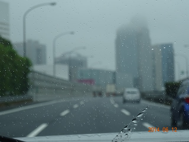 DSC04203_R.JPG