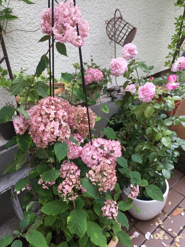 rblog-20160625211621-09.jpg