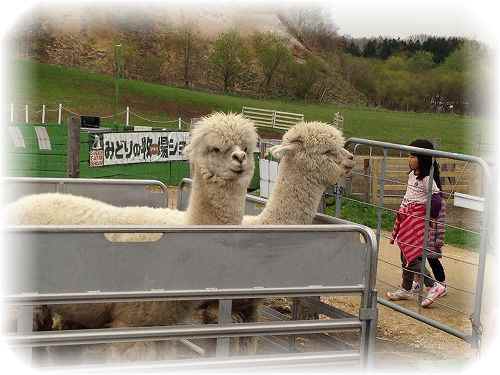 iphone　カメラロール 076.jpg