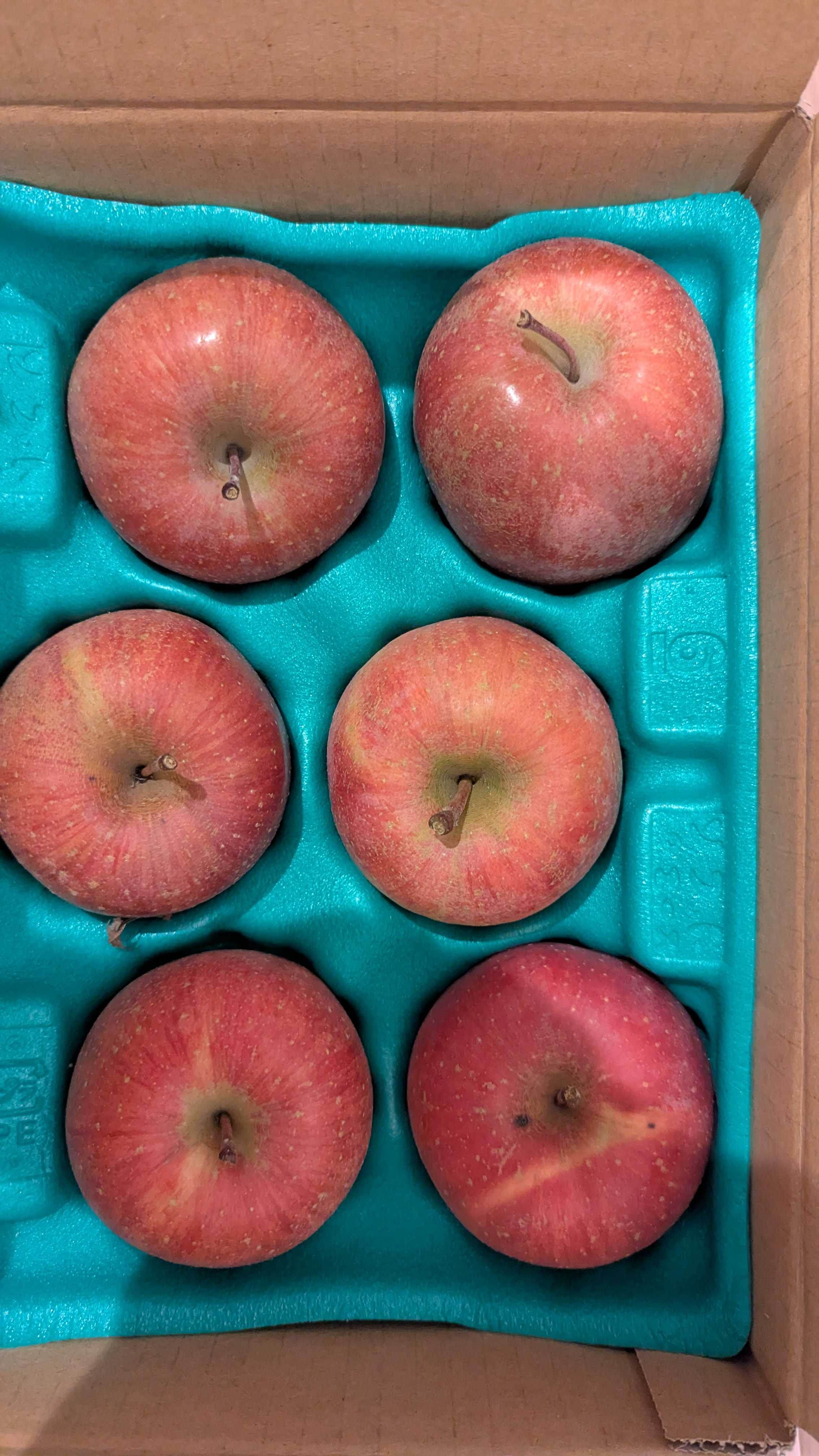 カテゴリ未分類]の記事一覧 | gizmodouol93752のブログ - 楽天ブログ