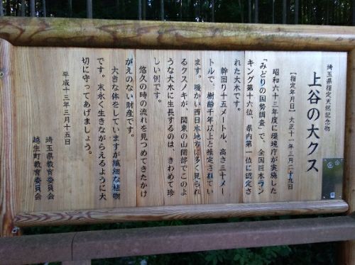 rblog-20180603144259-01.jpg